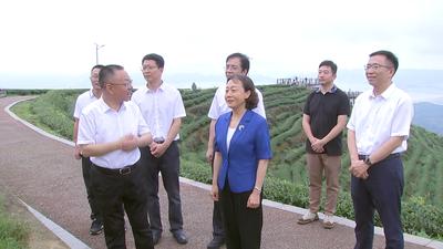 郭宁宁在连江县调研时强调 因地制宜发展特色产业 做好农文旅融合文章  扎实推进乡村全面振兴带动群众增收致富
