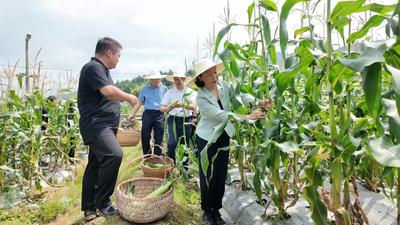 郭宁宁参加市委办公厅主题党日活动 传承红色基因 矢志接续奋斗 努力在中国式现代化建设中奋勇争先