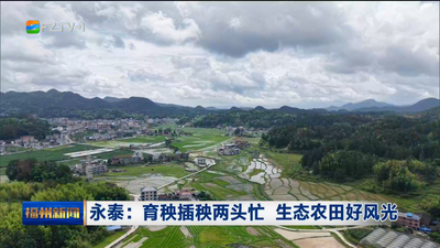 永泰：育秧插秧两头忙 生态农田好风光
