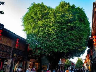 央视关注福州：端午假期文旅市场火热