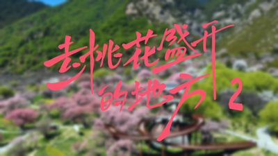 网络微短剧《去桃花盛开的地方2》预告片