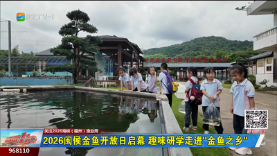 2026闽侯金鱼开放日启幕 趣味研学走进“金鱼之乡”