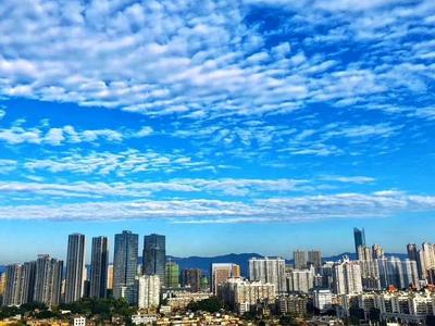 闽侯举办“艾草映初心，清风伴我行”主题党建活动