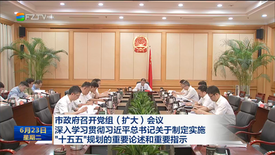 市政府召开党组（扩大）会议 深入学习贯彻习近平总书记关于制定实施“十五五”规划的重要论述和重要指示