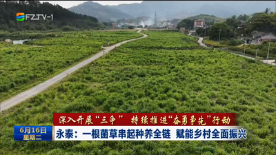 永泰：一根菌草串起种养全链 赋能乡村全面振兴
