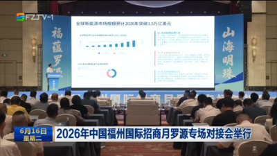 2026年中国福州国际招商月罗源专场对接会举行