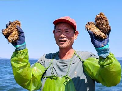 连江定海：一粒生蚝“长”出千万产值