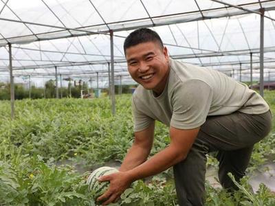 琅岐西瓜甜蜜上市