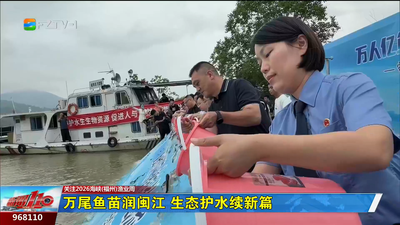 万尾鱼苗润闽江 生态护水续新篇