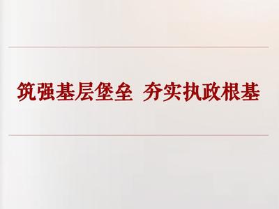 学习手记｜筑强基层堡垒 夯实执政根基