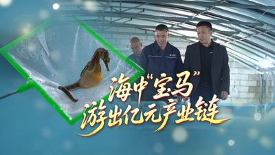 海中“宝马”游出亿元产业链