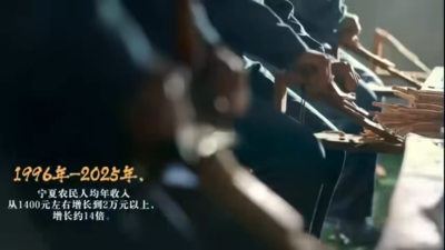 闽宁携手书写东西部协作的时代答卷
