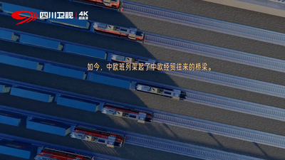 一粒文明的种子，如何跨越山海生长？在相遇中理解彼此，在交流中共赴未来