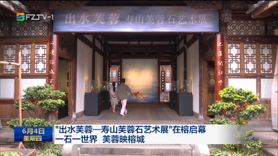 “出水芙蓉——寿山芙蓉石艺术展”在榕启幕 一石一世界 芙蓉映榕城