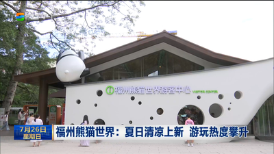 福州熊猫世界：夏日清凉上新 游玩热度攀升