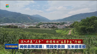 闽侯县荆溪镇：荒园变良田 玉米迎丰收