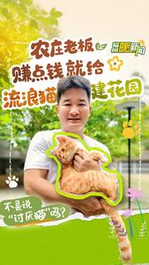 农庄老板赚点钱就给猫建花园，不是说“讨厌猫”吗？