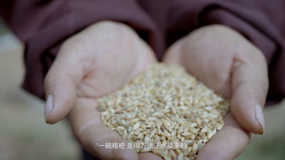 公益广告丨每一粒粮食都应该被珍惜