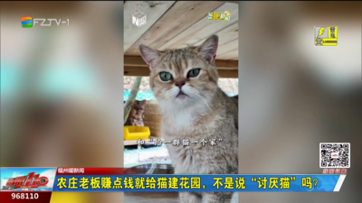 农庄老板赚点钱就给猫建花园，不是说“讨厌猫”吗？