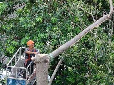 福州各级各部门落细落实防汛防台风工作