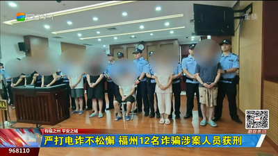 严打电诈不松懈 福州12名诈骗涉案人员获刑