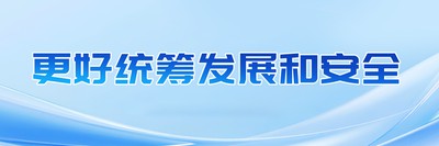 更好统筹发展和安全