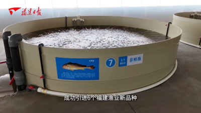 西北盐碱地养海鱼？还得看闽宁！