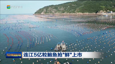 连江5亿粒鲍鱼抢“鲜”上市