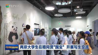 两岸大学生在榕同赏“国宝” 开展写生交流