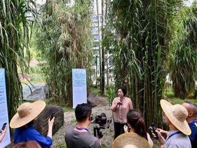 “闽宁协作 山海情长”主题采访团走进福州