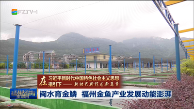 闽水育金鳞 福州金鱼产业发展动能澎湃