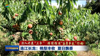 连江长龙：桃梨丰收 夏日飘香