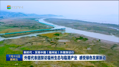 新时代·发现中国（福州站）外媒探访行 外媒代表团探访福州生态与临港产业 感受绿色发展脉动