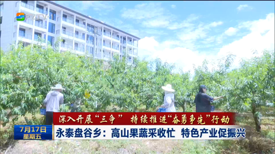 永泰盘谷乡：高山果蔬采收忙 特色产业促振兴