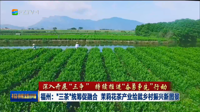 福州：“三茶”统筹促融合 茉莉花茶产业绘就乡村振兴新图景