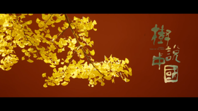 纪录片《树说中国》主题曲上线
