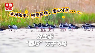 水净粮丰、栖所多样、悉心守护......好生态“圈粉”万千飞鸟 