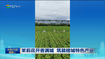 茉莉花开香满城 筑就榕城特色产业