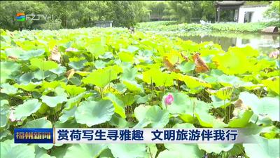 赏荷写生寻雅趣 文明旅游伴我行