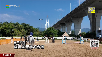 以马会友 两岸青年福州共逐梦