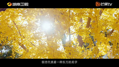 纪录片《树说中国》第五集《最浪漫的金黄银杏》今晚播出