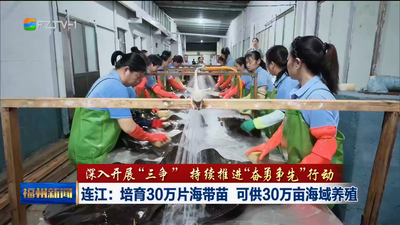 连江：培育30万片海带苗 可供30万亩海域养殖