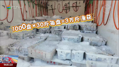 开渔季首批渔船返港 福州人的“海鲜自由”回来了！