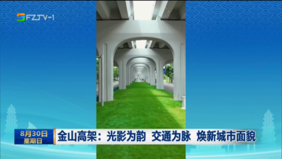 金山高架：光影为韵 交通为脉 焕新城市面貌