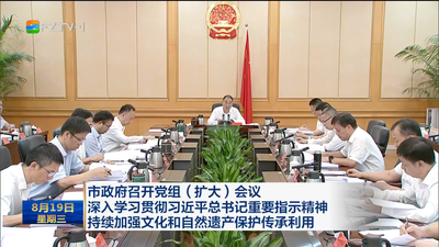 市政府召开党组（扩大）会议 深入学习贯彻习近平总书记重要指示精神 持续加强文化和自然遗产保护传承利用