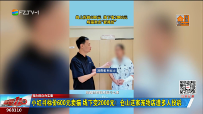 我为群众办实事：小红书标价600元卖猫 线下变2000元！仓山这家宠物店遭多人投诉