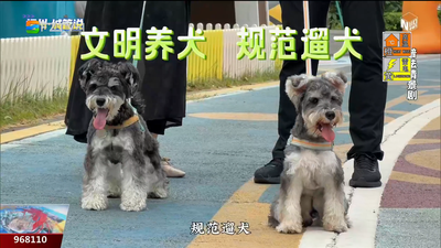 福州城管说：规范养犬 文明出行 守护共同家园