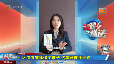 60秒懂法：小区流浪猫抓伤了孩子 这笔账该找谁算？