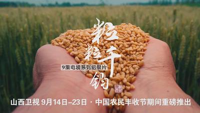 9集电视系列纪录片《粒粒千钧》重磅上线！