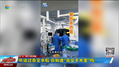 听说过杂交水稻 你知道“杂交手术室”吗？